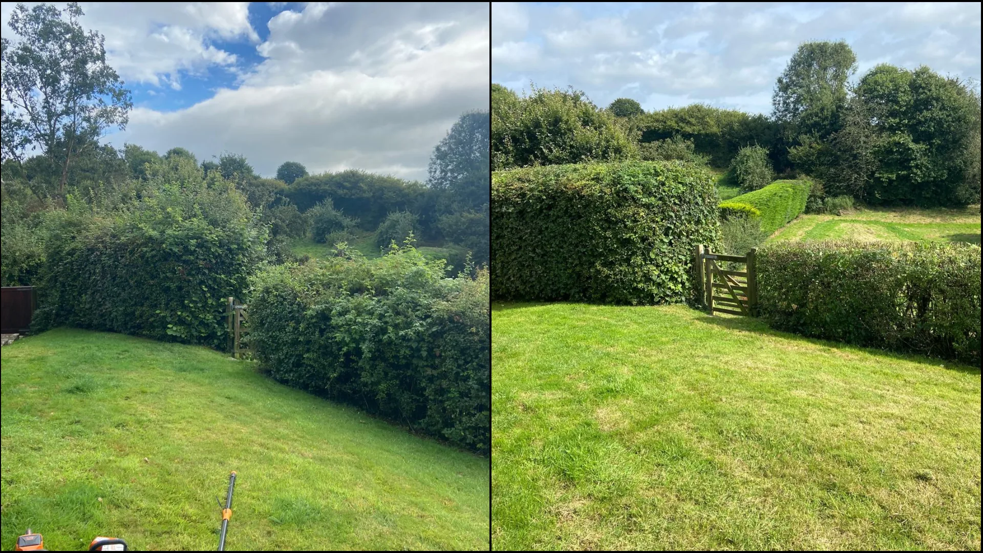 Before and after of a garden hedge trimmed beside a lawn and gate