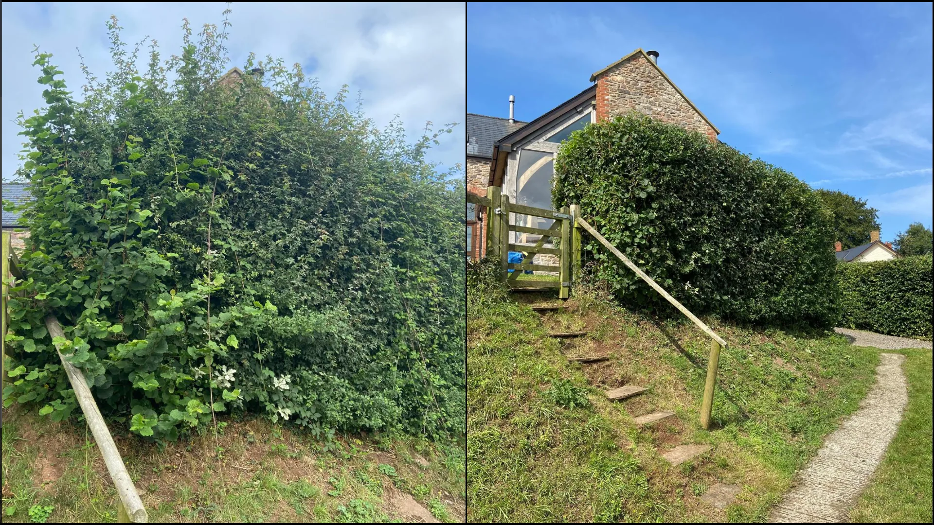 Overgrown bramble bank cleared and tidied beside stone steps